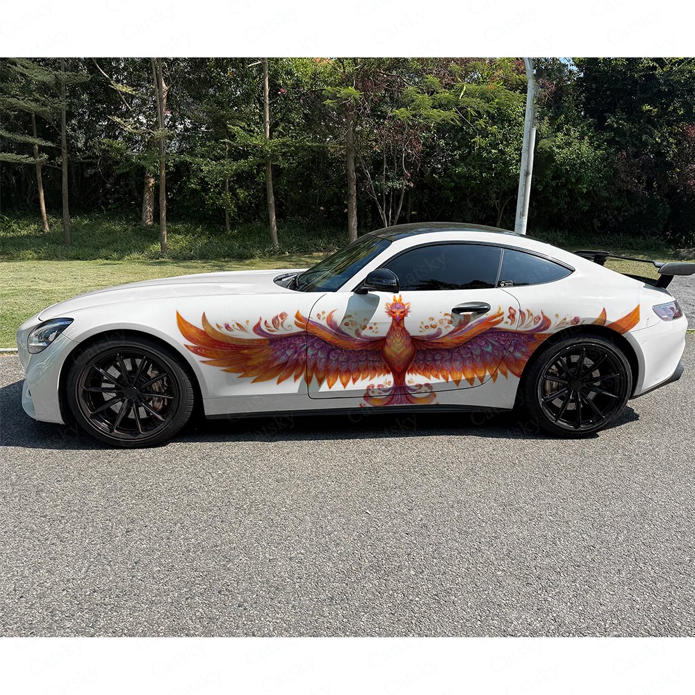 قطعتان من ملصقات جانب السيارة  - مراجعة Car Accessories Phoenix وسعره